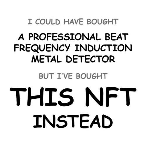 A Professional Beat Frequency Induction Metal Detector