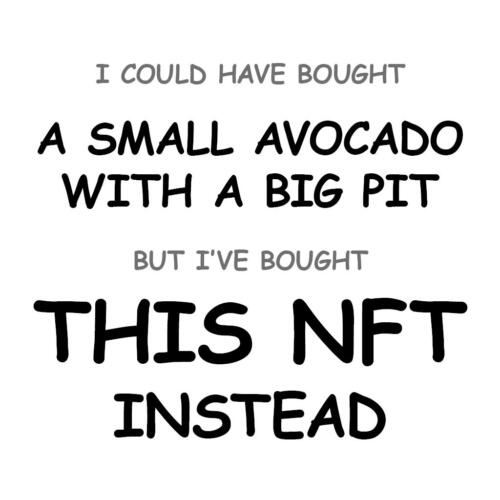 A Small Avocado with a Big Pit