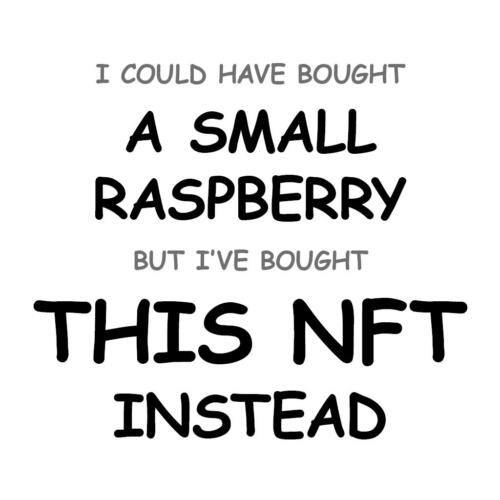 A Small Raspberry