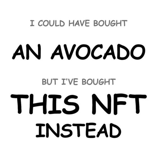 An Avocado