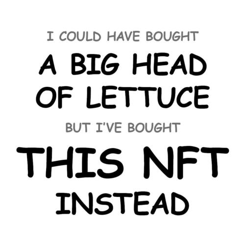 A Big Head of Lettuce