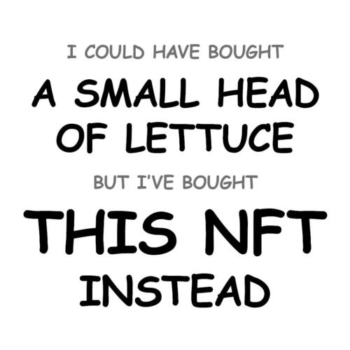 A Small Head of Lettuce