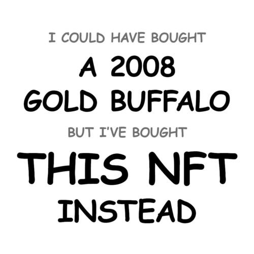 A 2008 Gold Buffalo