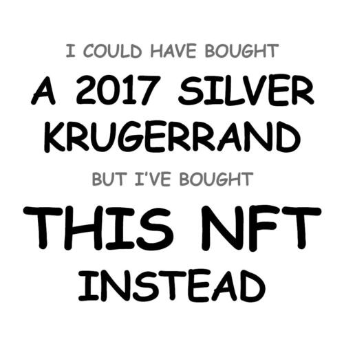 A 2017 Silver Krugerrand