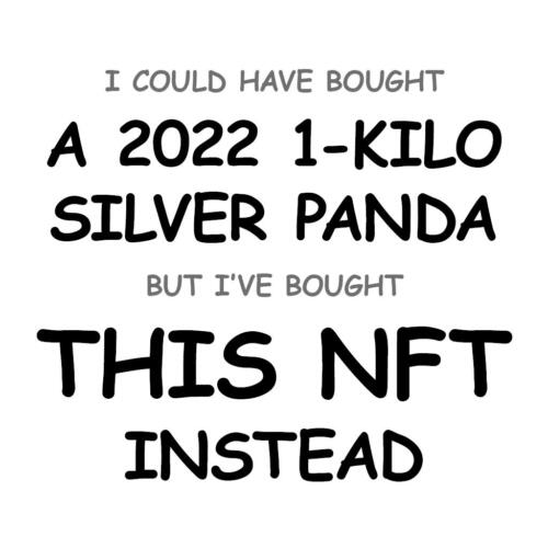 A 2022 1-Kilo Silver Panda