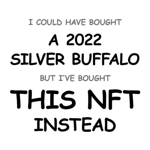 A 2022 Silver Buffalo